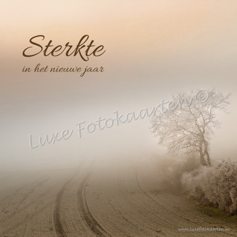 Sterkte nieuwe jaar - Mist